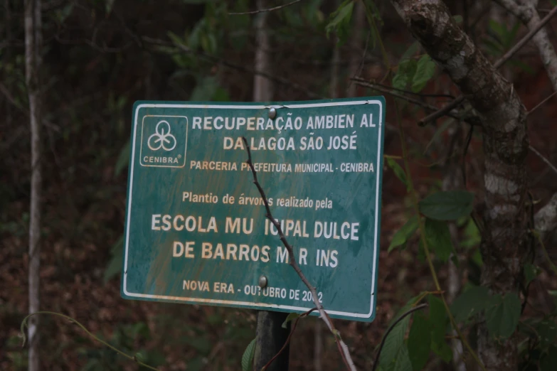 a sign is posted on a pole in the woods