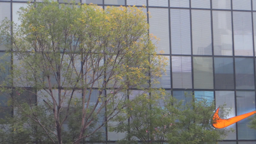 orange plastic erfly flying low in front of large glass building