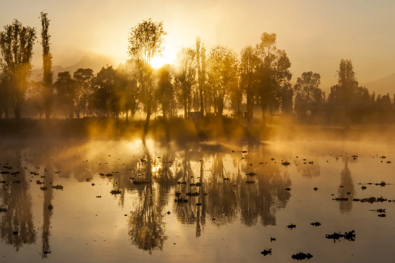 water is covered in fog on a misty day