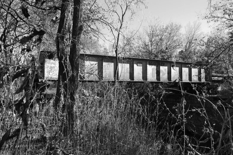 a black and white image of a train bridge