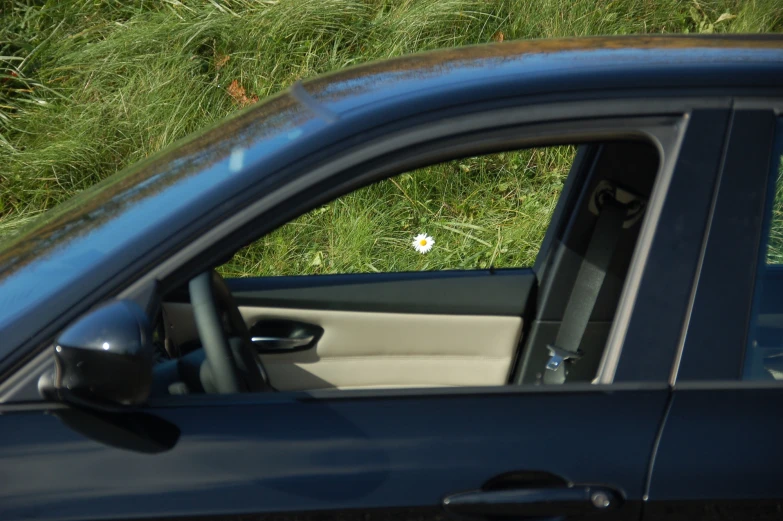 a small white flower poking out from the window of a blue car