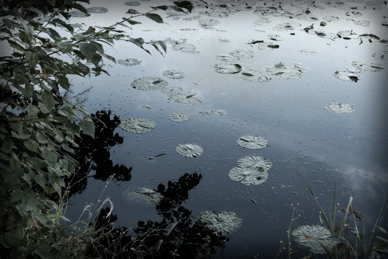 the sky is reflecting onto a body of water