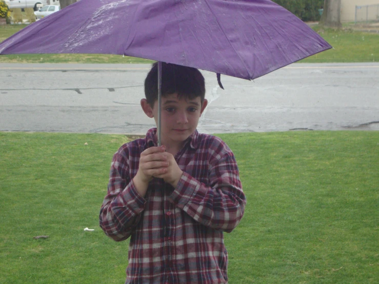  holding purple umbrella while standing in rain