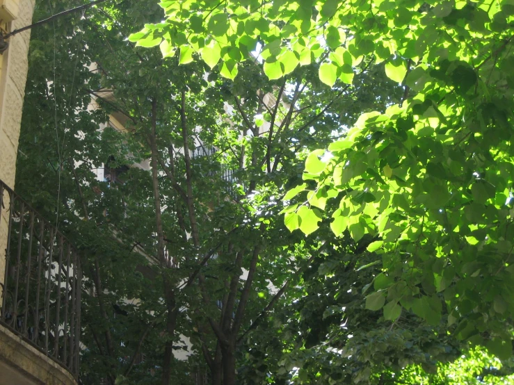 a building with a tree lined street next to it