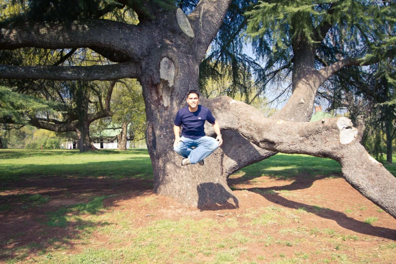 a man is sitting on the trunk of a tree