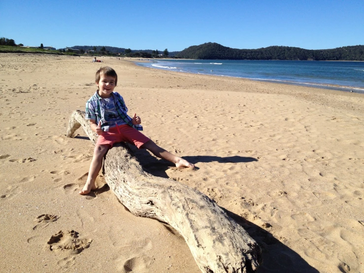 a  sitting on top of a log in front of the ocean