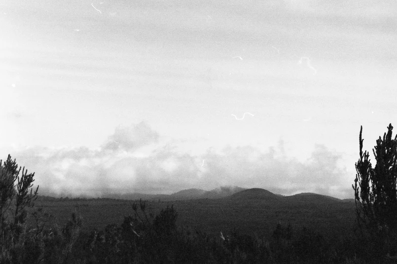 a view of mountains, trees, and sky