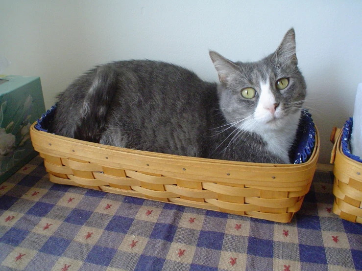 a cat lying in a basket with another basket next to it