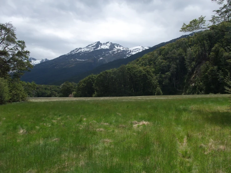 large field with green grass, some rocks and snow