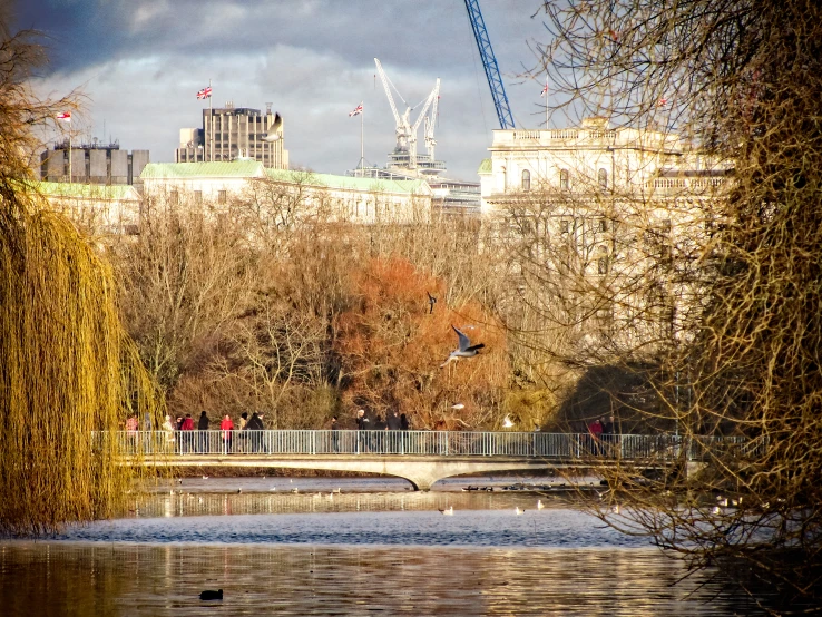 view across the lake with a city in the background