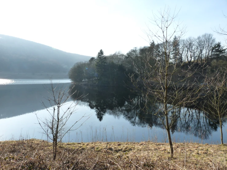 an empty lake surrounded by barren trees and brown grass