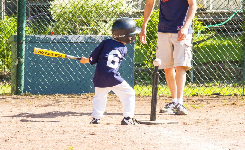 a  holding a baseball bat near home plate