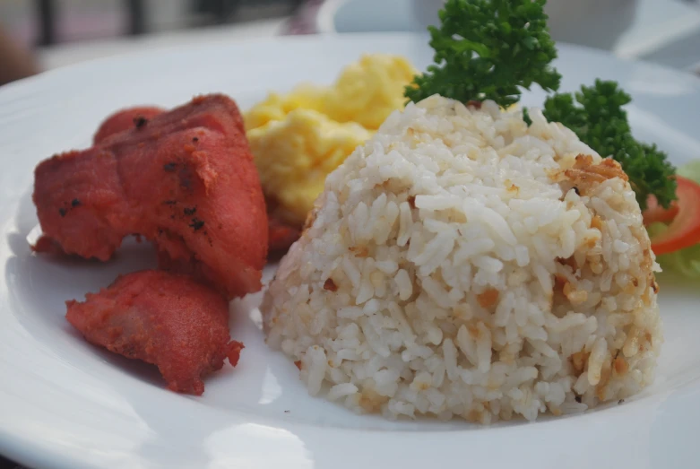 white plate full of rice with meat and vegetables