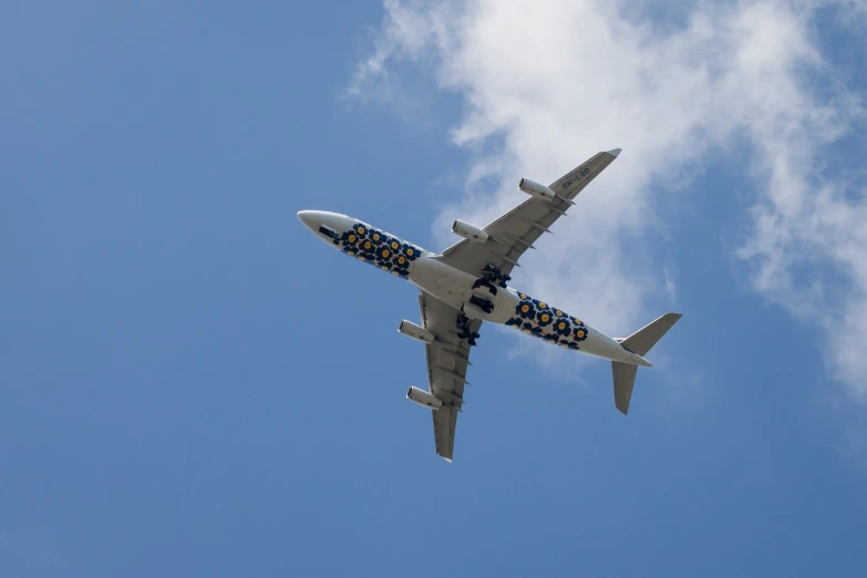 a plane that has been decorated with animals and symbols flying in the sky