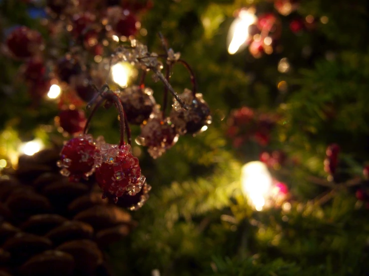 pine cones, berries and lite up lights behind christmas tree