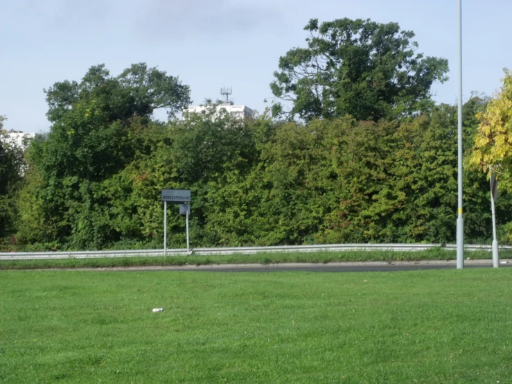 a street sign is in a field with trees