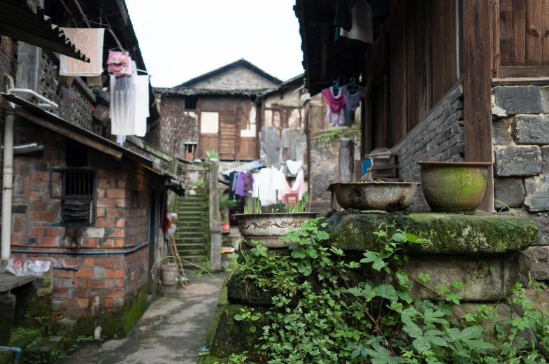 pots and plants fill the courtyard of an old home