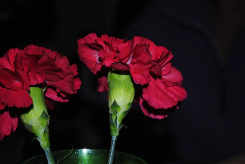 two flowers in a green vase on a black surface