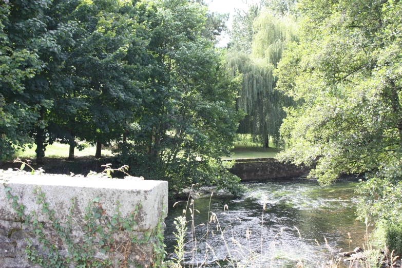 a river with a bridge and trees in the background
