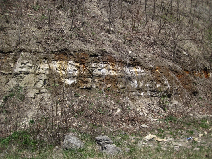 a dirty sign on a hill with trees in the background