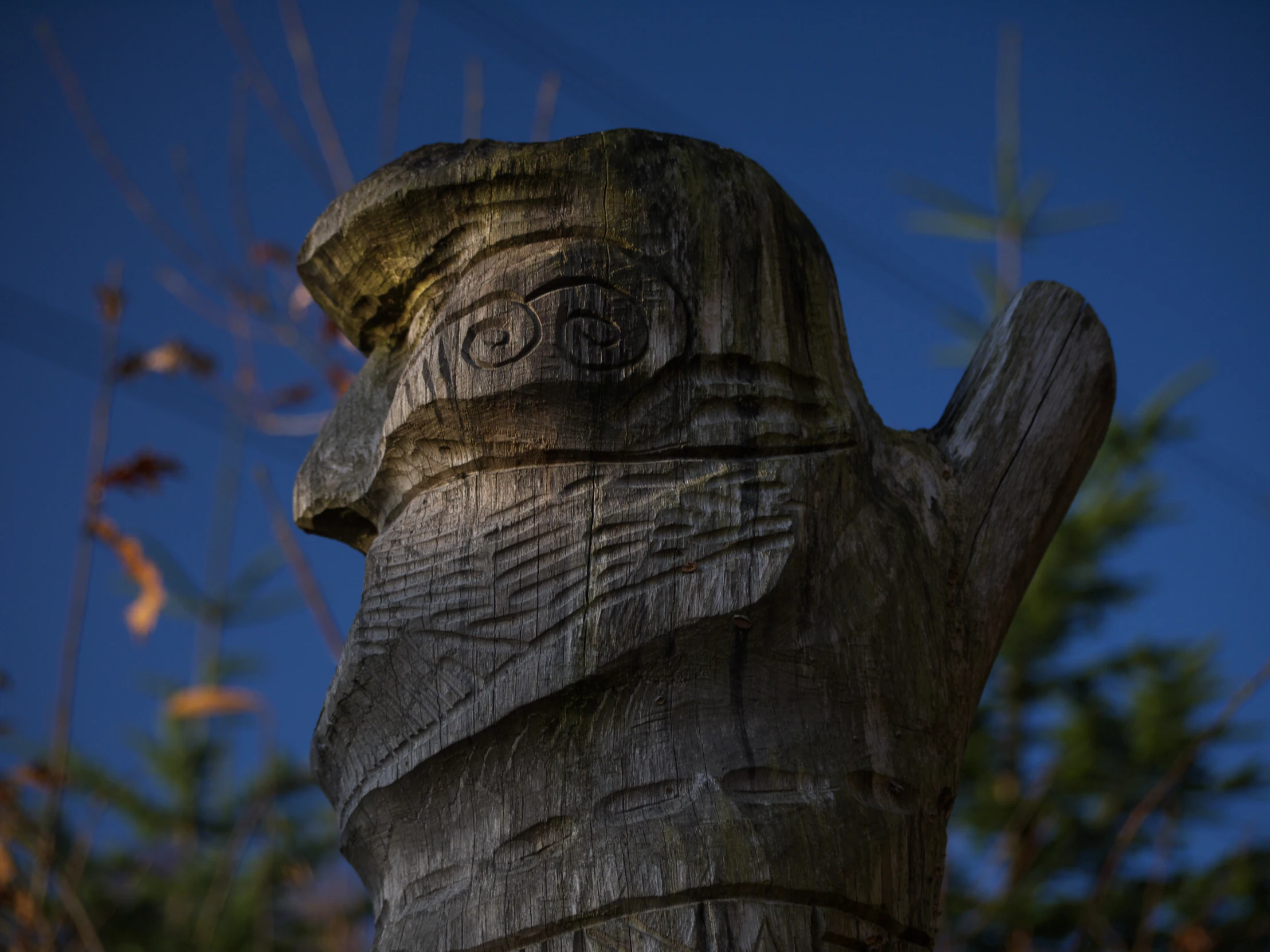 a wooden carved figure is in front of trees