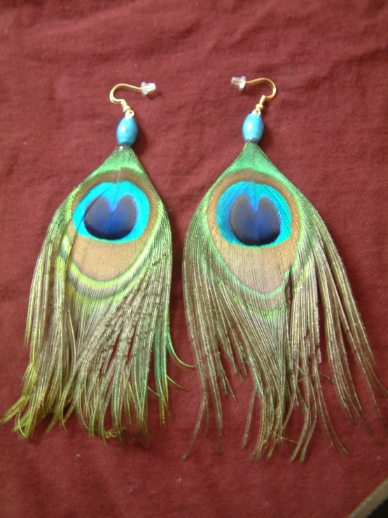 an image of two peacock feather earrings