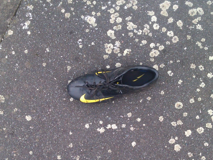 a pair of sneakers with yellow and black trim sit on a street