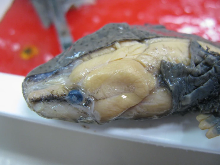 a banana is covered with liquid on a red table