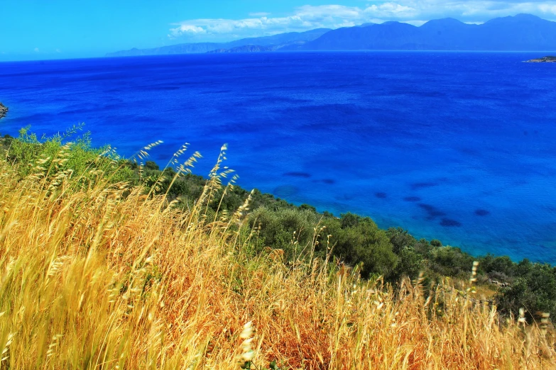 an image of a water view from the trail