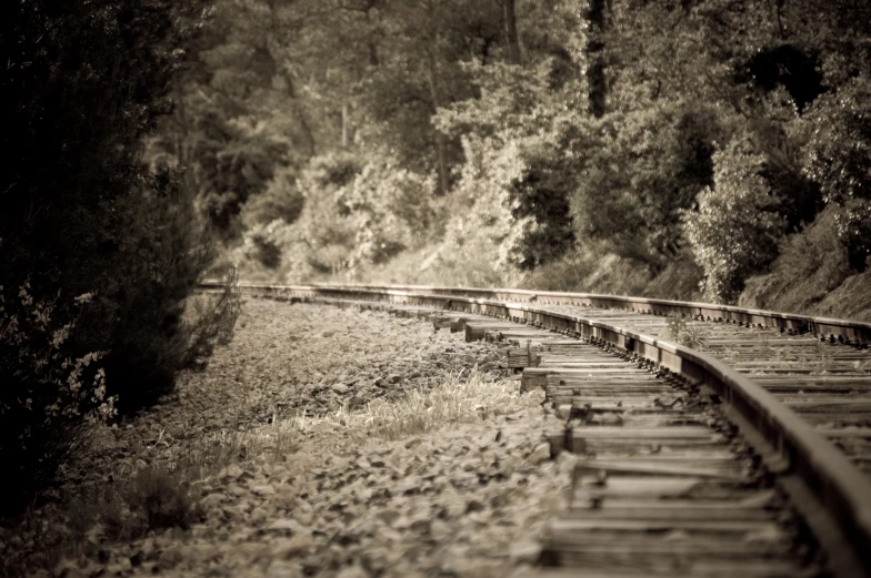 a long set of train tracks stretching in an alley