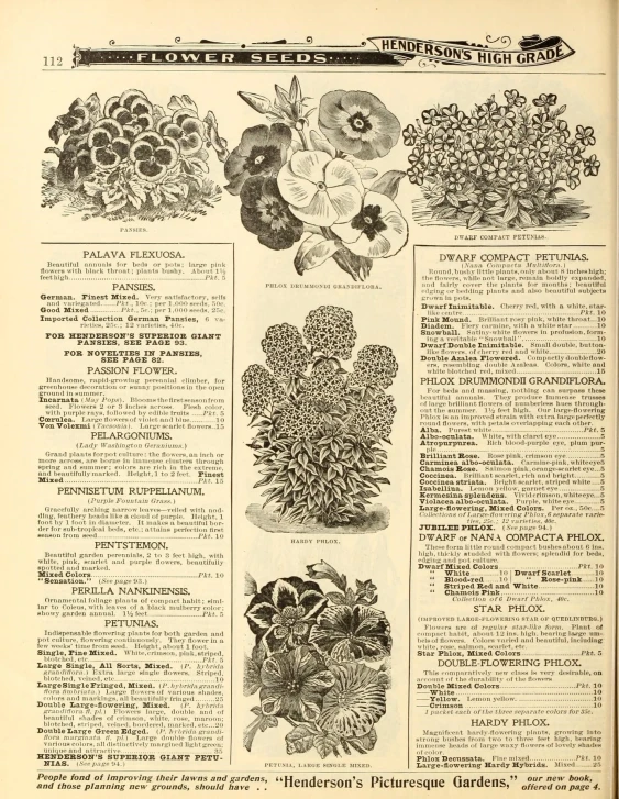 an open book containing plants and flowers
