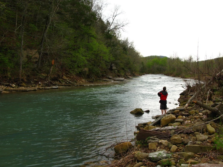 a man standing by a river next to trees