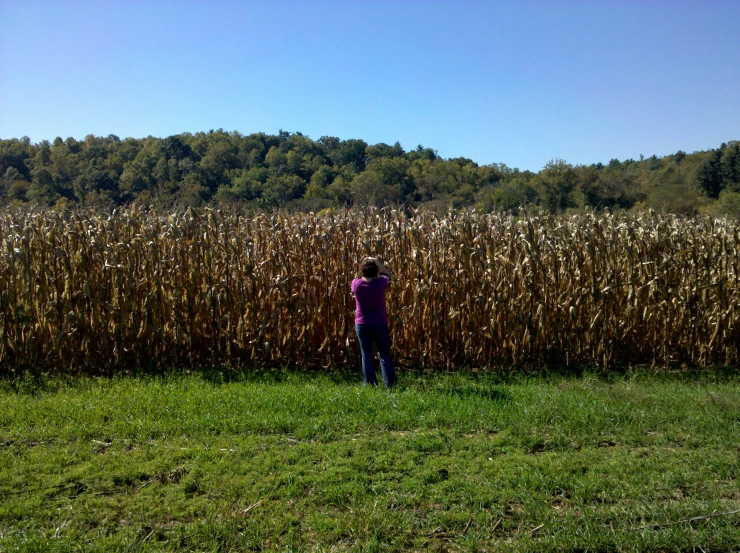 a person flying a kite over a field