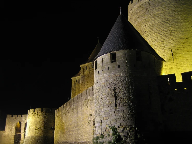 a large brick castle with turrets sits under a moon lit sky