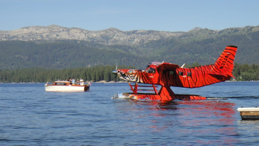 a red plane has a shark fin in it