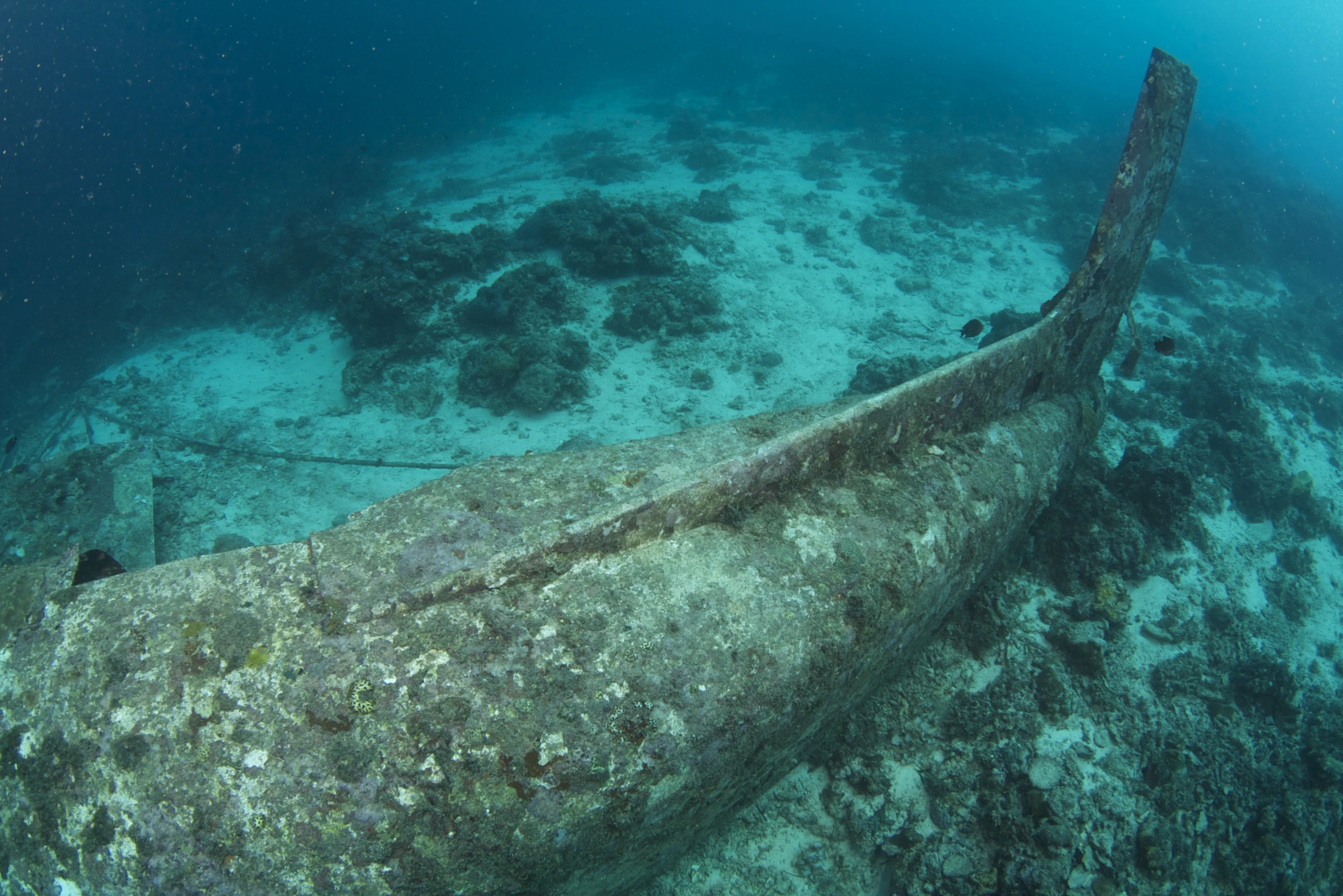 an image of a sunken ship underwater in the ocean