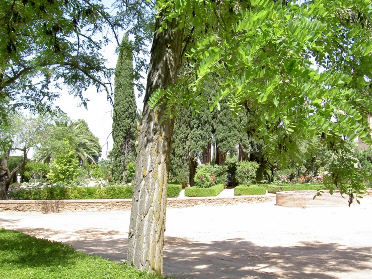 an outdoor park area with a bench, trees, and grass