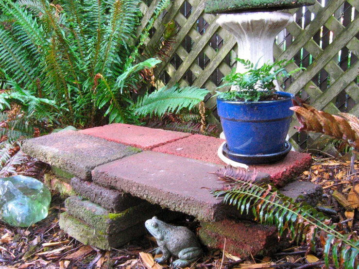 a bucket is on top of a brick ledge with ferns