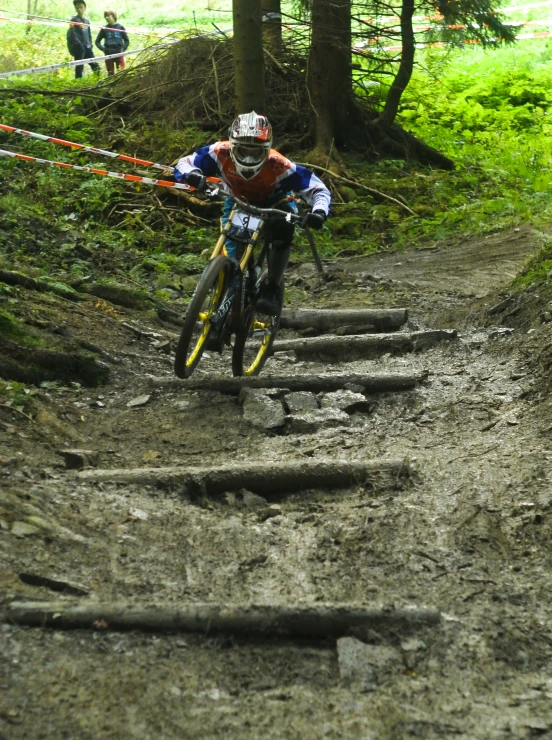 a man on a bicycle riding down some stairs in the woods