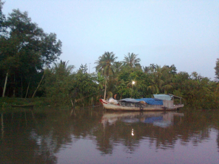 boats in the water and trees all around