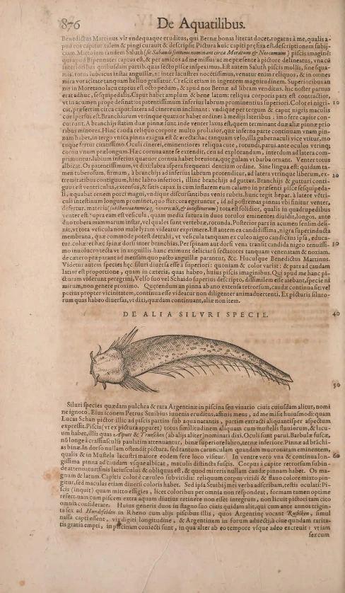 the back side of a page of a book with an image of a fish on it