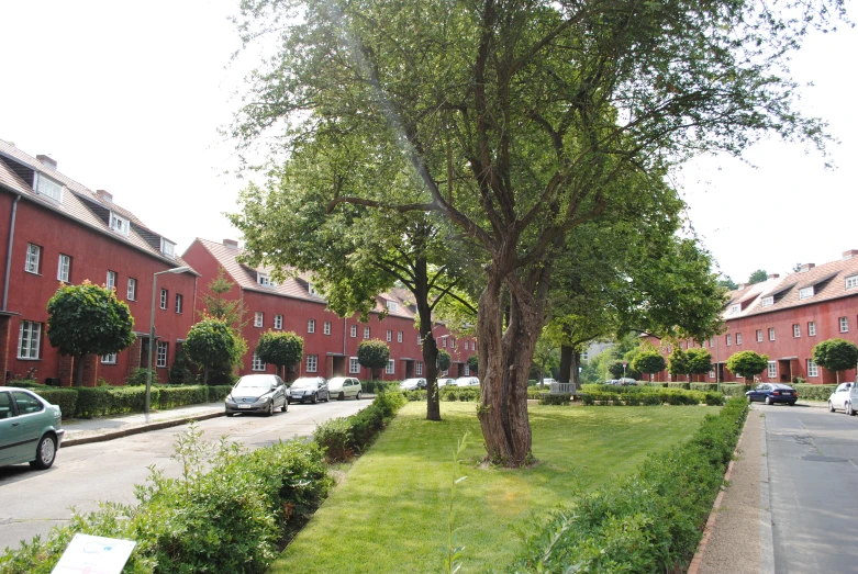 cars parked on a grassy street near trees and bushes