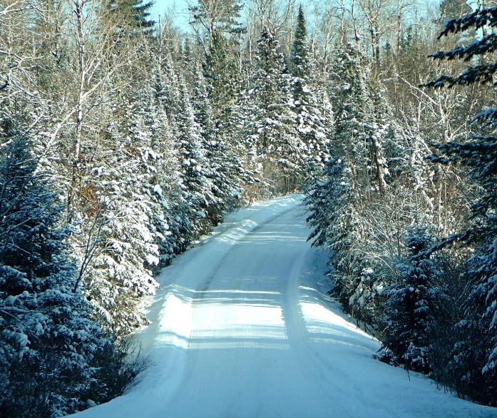 there is a snowy road that runs between some trees