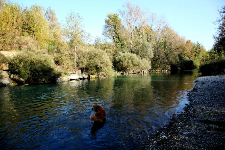 two people stand in the middle of a stream