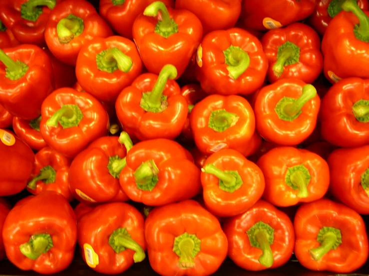 a bunch of red peppers with green stems