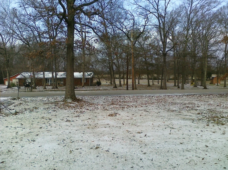 snow covered ground in front of buildings and trees