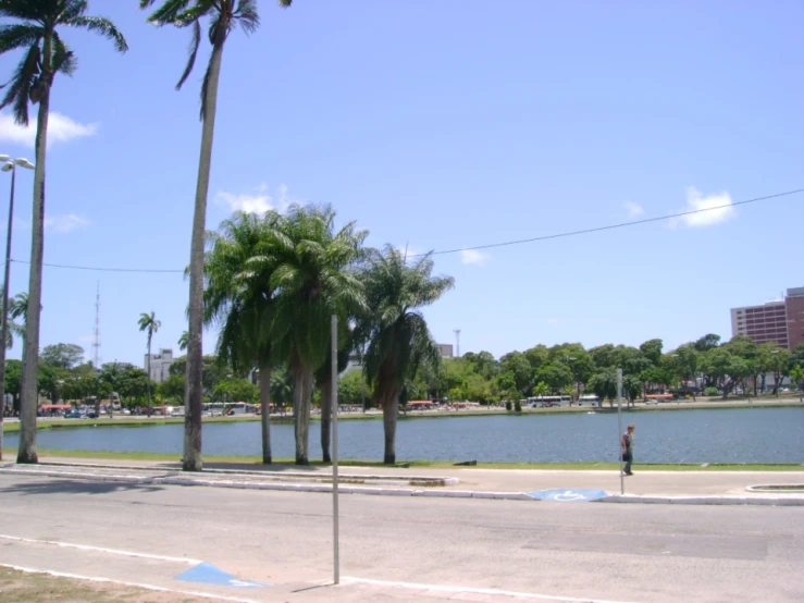 a body of water with palm trees on either side