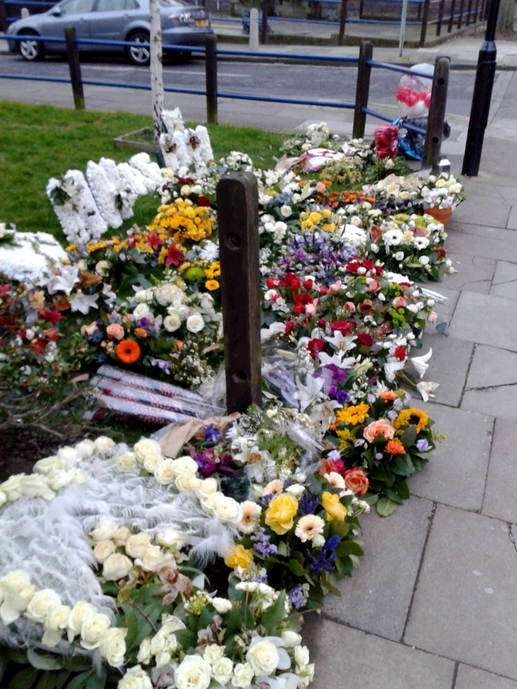 flowers are laid in the park near a bench