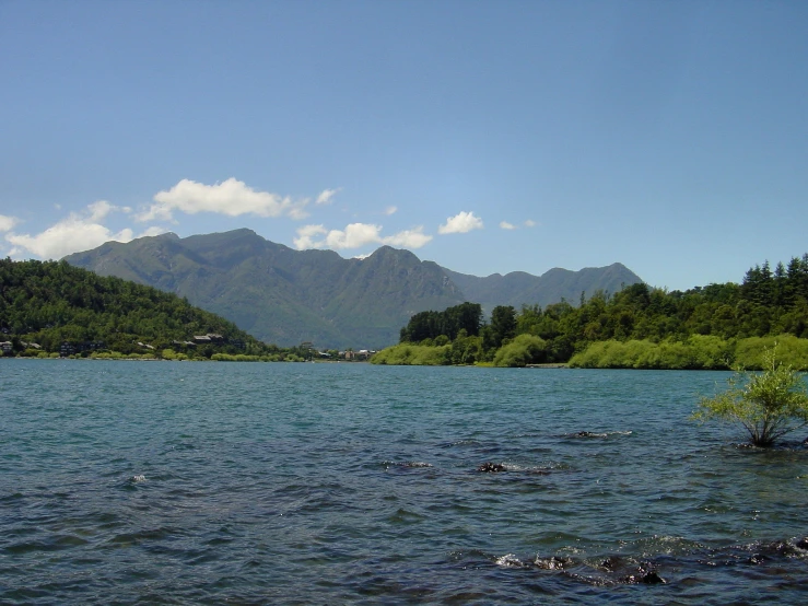 lake surrounded by mountains with trees around