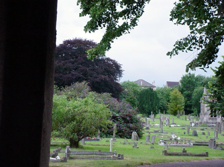 several graves with headstones and some trees in the background